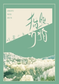 快穿绑定男配后宿主们都想攻略我